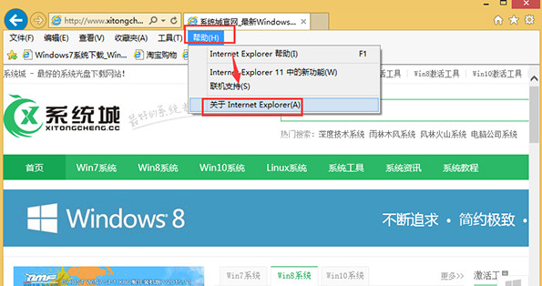 关于Internet explorer