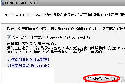 word错误报告