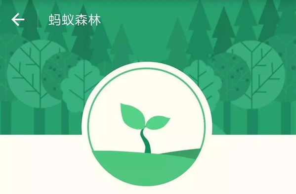 小米运动步数同步支付宝