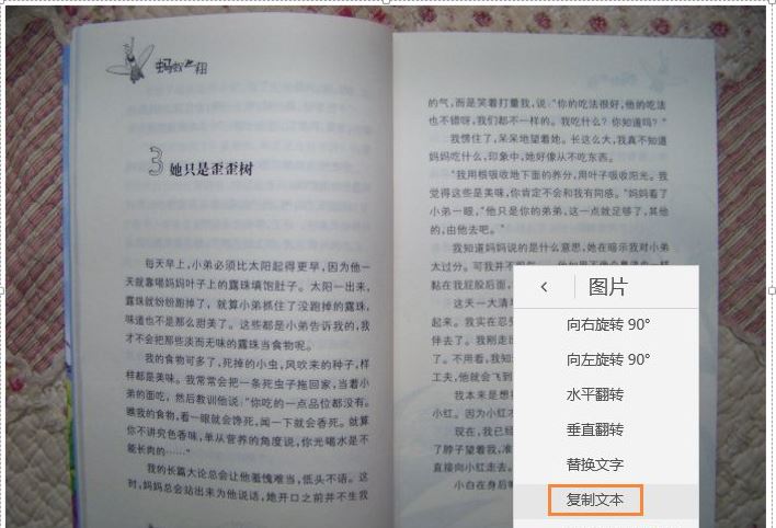 onenote将图片装换文字