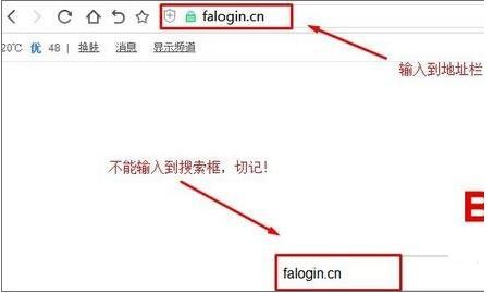 falogin.cn2