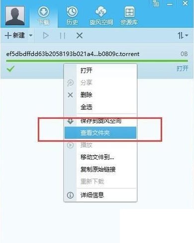 win10系统迅雷磁力链接没反应怎么办3