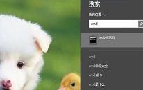 win8系统如何进入dos界面 系统进入dos界面操作教程