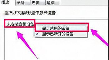 未安装音频设备