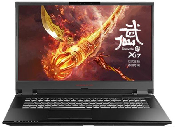 吾空X17武仙笔记本使用u深度u盘一键重装win11系统教程