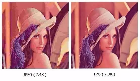 tpg