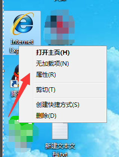 internet explorer
